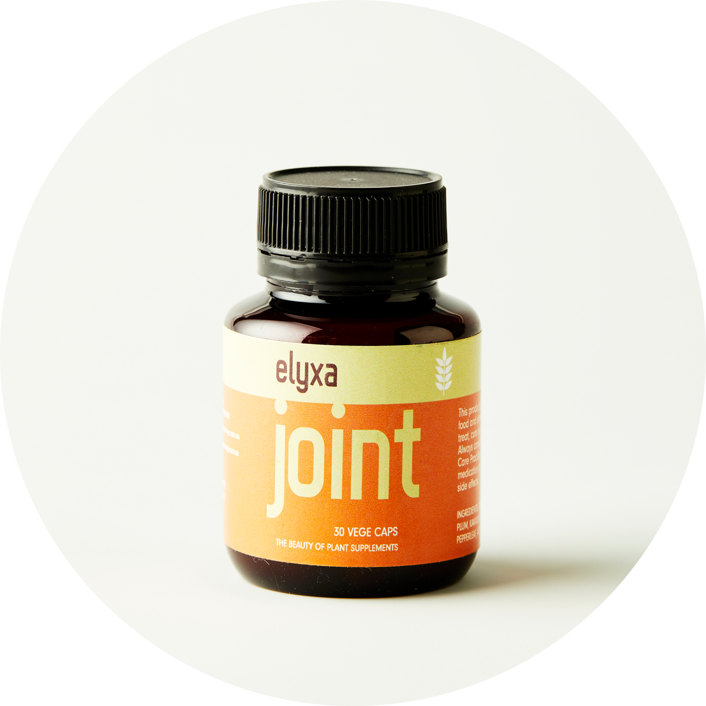 joint pain remedy